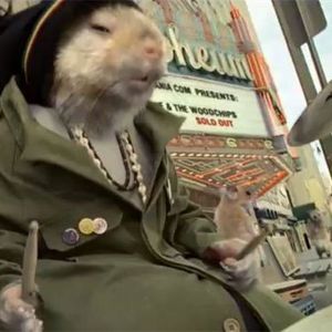 Meet your Posher, Anetta